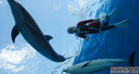 DolphinF@23D̽ͬ