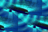 оӋ(j)֣DARPAڷo˴ACTUVѽ(jng)_ʼ졣{늹W(xu)̳_(d)͹W(xu)_(d)g(sh)yˣ(hu)Leidos죬A(y)Ӌ(j)״ԇ(hu) 2015 (ni)M(jn)С