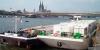 Hummel̖LNGl늴L77ף11ף˹工һ촬S죬ɺ3ܕrg_hxʽ󣬡Hummel̖AIDA Cruises'̖]݆BӲɹĂf˄Ӌ2015ԓʽͶʹá