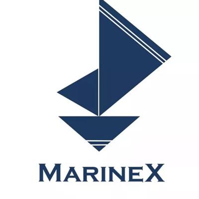中國大陸第一家航運區塊鏈平臺MarineX成立