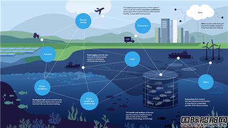 DNV發布首份海洋水產養殖預測報告到2050年產量將翻番