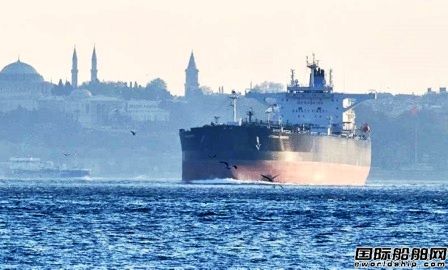 ʿ֌GungenṩVessel Insight