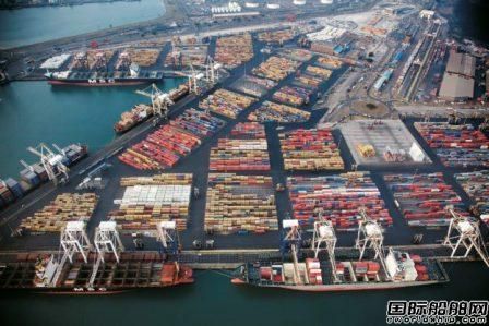 集運市場運價再創新高！美國線漲最兇歐洲線沒下跌