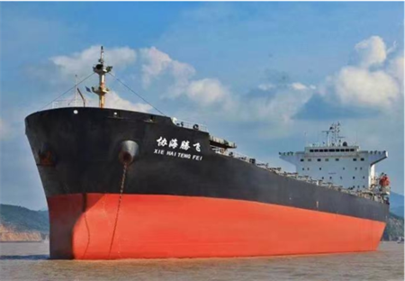 浙江協(xié)海“線上”購入一艘超巴拿馬型散貨船