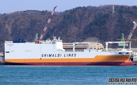 p43%̼ŷţFβ촬GrimaldiG5Lb