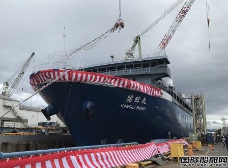 70年來首艘！旭洋造船建造新捕鯨母船“關鯨丸”號下水