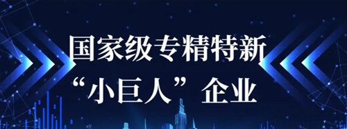 南通遠(yuǎn)洋配套、威海重工科技雙雙通過(guò)國(guó)家級(jí)專精特新“小巨人”企業(yè)認(rèn)定