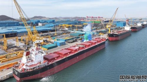 “海德威方案”亮相論壇引領綠色浪潮