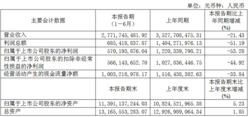 運價波動與市場挑戰并存,招商南油上半年凈利5.7億元