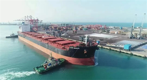 âFVǰ䴬Pioneer Bulkٶُ