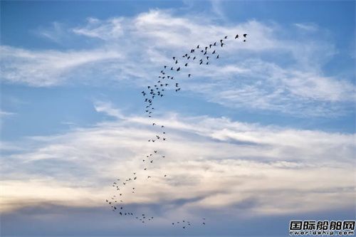 dʢԴ݆״ϩºȫ״ξGɫLNGע